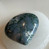 Tree Agate Heart Large 2