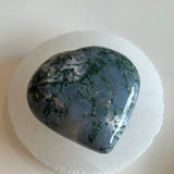 Tree Agate Heart Large 2