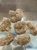 Desert Rose Large Pieces