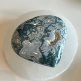 Tree Agate Heart Large
