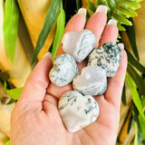 Tree Agate Puff Heart (sold individually)