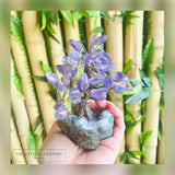 Amethyst Bonsai